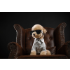 Dog Wall Art