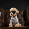 Dog Wall Art - Mini