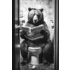 Bear Wall Art
