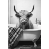 Highland Cow Wall Art