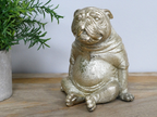 Sitting Dog