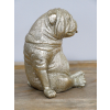 Sitting Dog