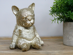 Sitting Dog