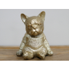 Sitting Dog