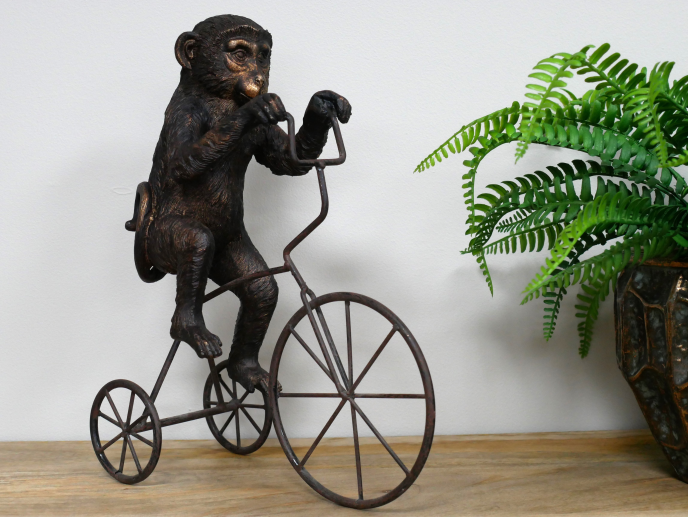 Monkey On Tricycle