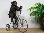 Monkey On Tricycle