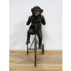 Monkey On Tricycle