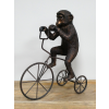 Monkey On Tricycle