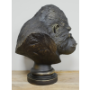 Gorilla Bust