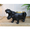 Hippo Dish