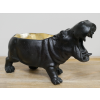 Hippo Dish