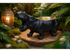 Hippo Dish