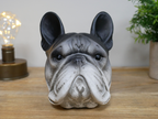 Dog Head