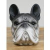 Dog Head