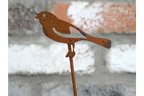 Rusty Bird Stake