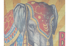 Canvas Wall Art - Elephant