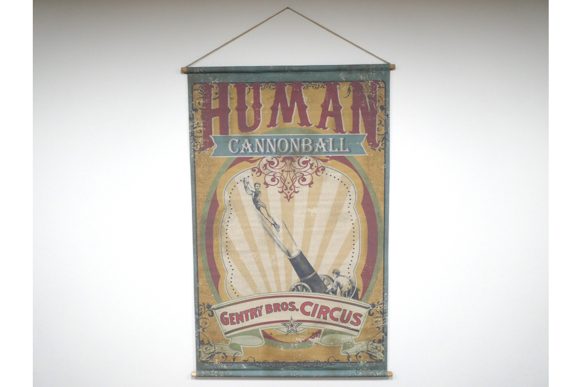 Canvas Wall Art - Cannonball