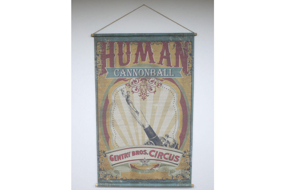 Canvas Wall Art - Cannonball