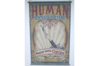 Canvas Wall Art - Cannonball