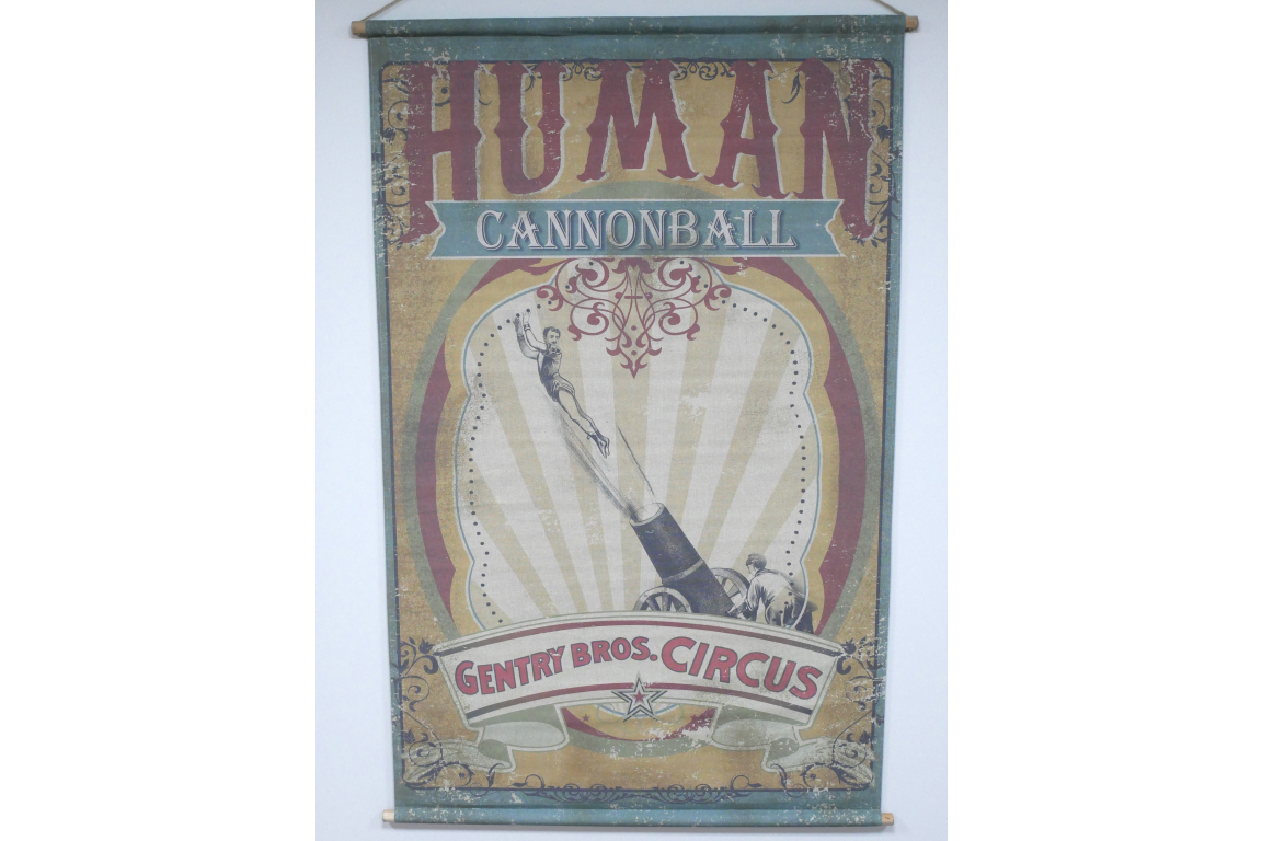 Canvas Wall Art - Cannonball