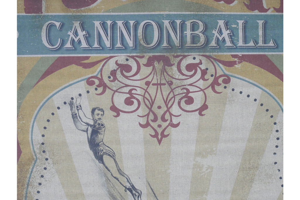 Canvas Wall Art - Cannonball