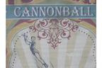 Canvas Wall Art - Cannonball