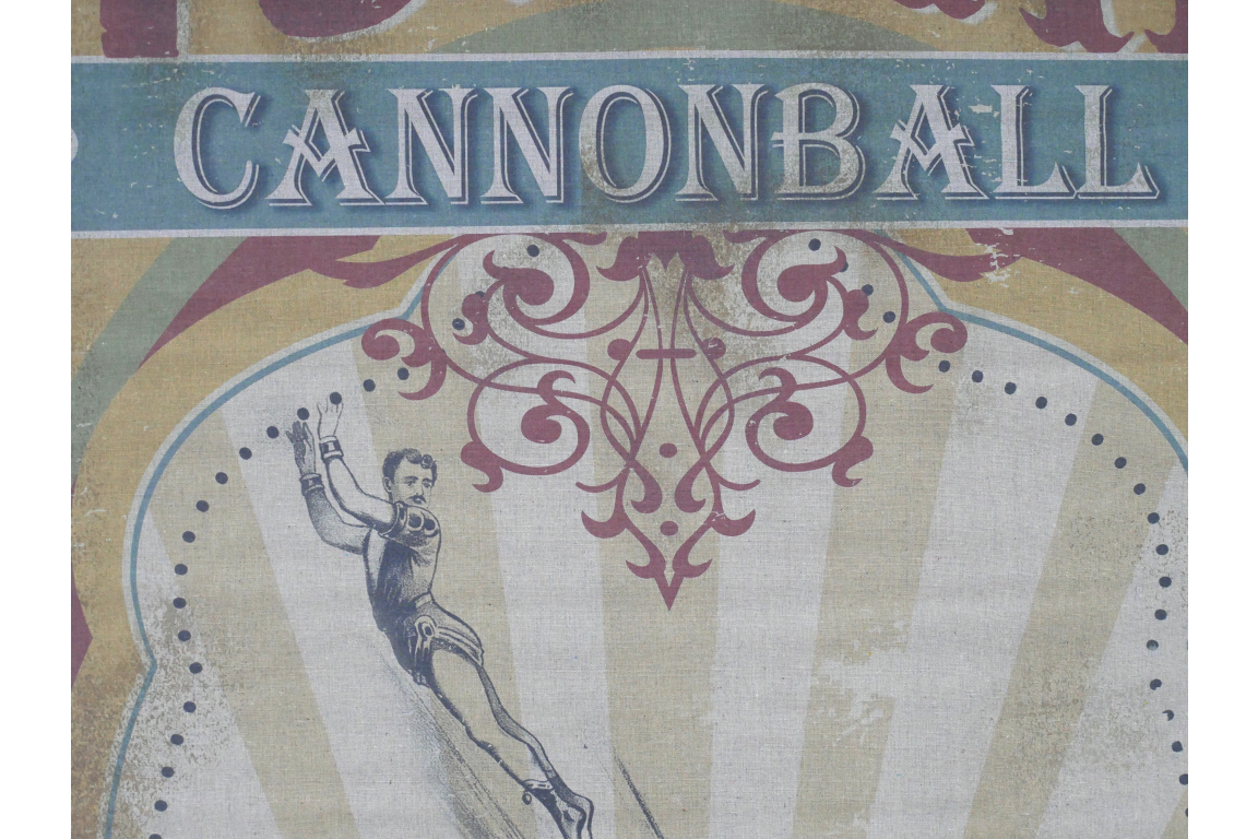 Canvas Wall Art - Cannonball