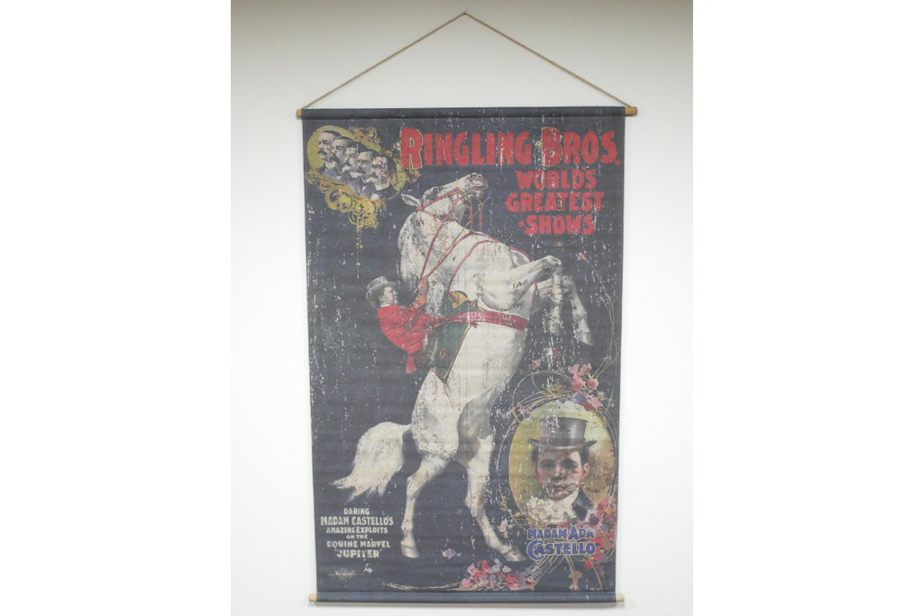Canvas Wall Art - Horse