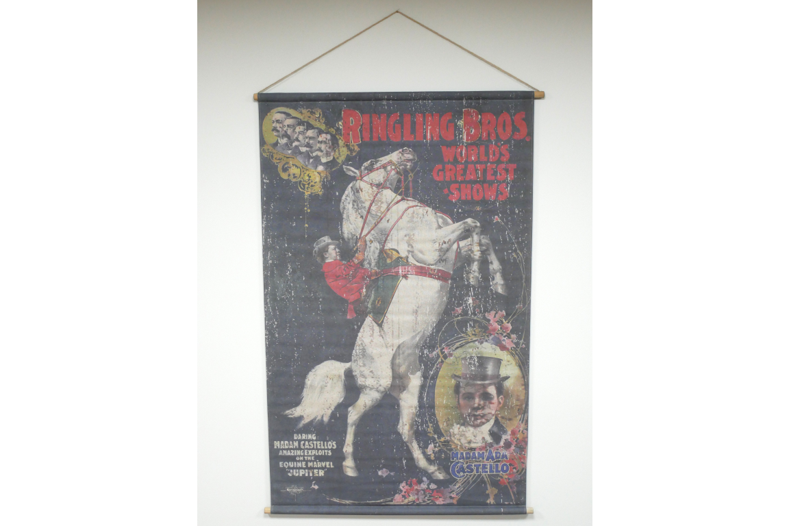 Canvas Wall Art - Horse