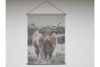 Canvas Wall Art - Highland Cow