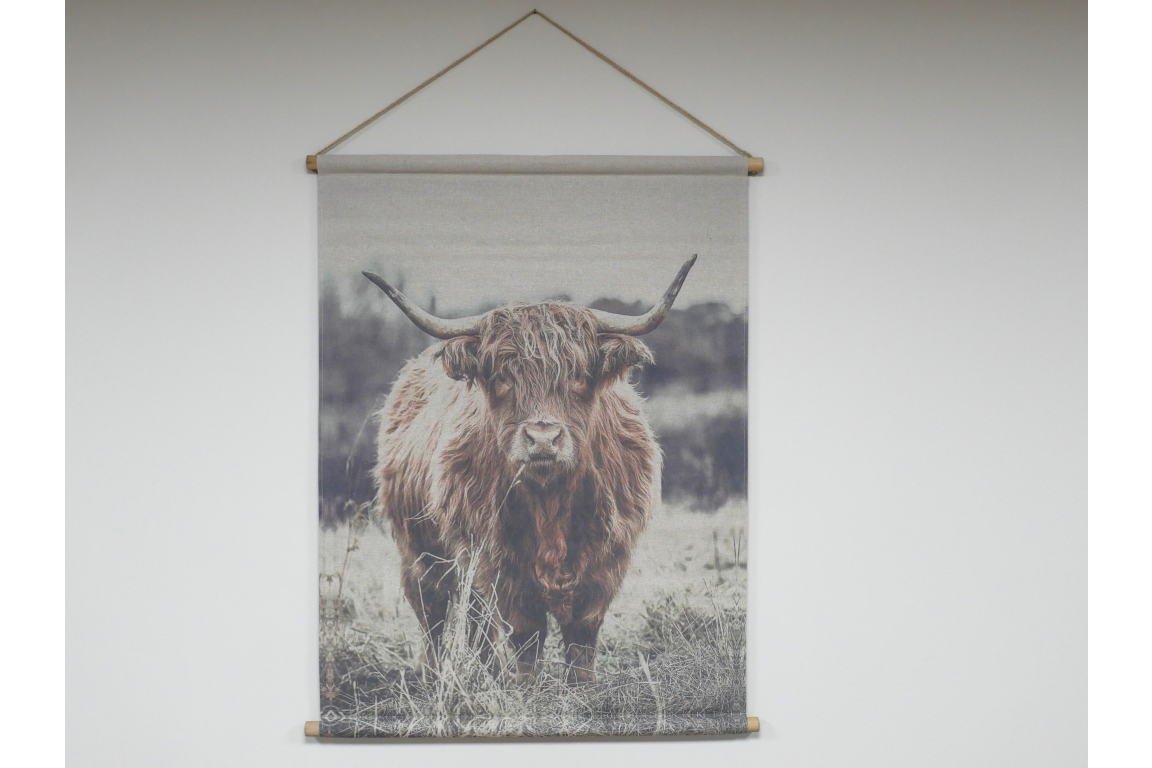 Canvas Wall Art - Highland Cow