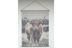 Canvas Wall Art - Highland Cow