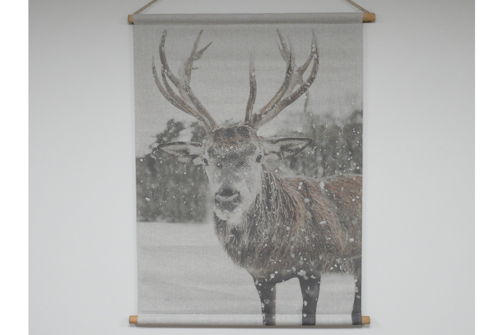 Canvas Wall Art - Stag