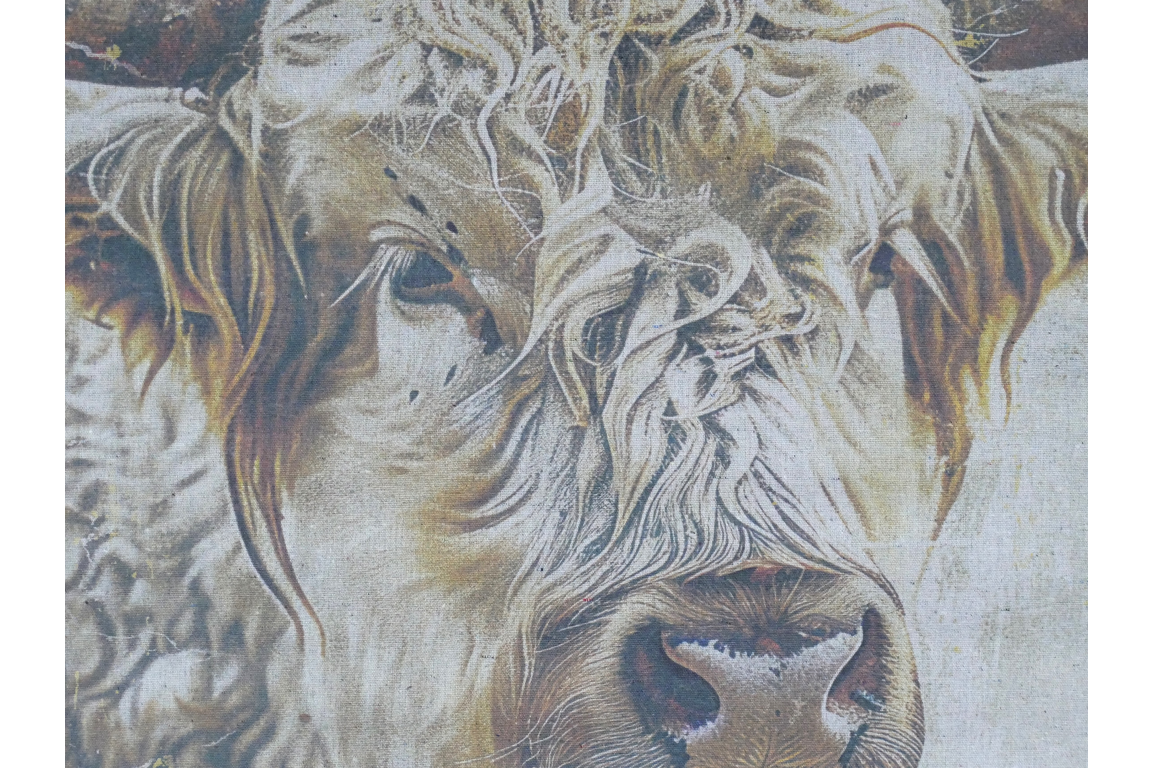 Canvas Wall Art -  Cow