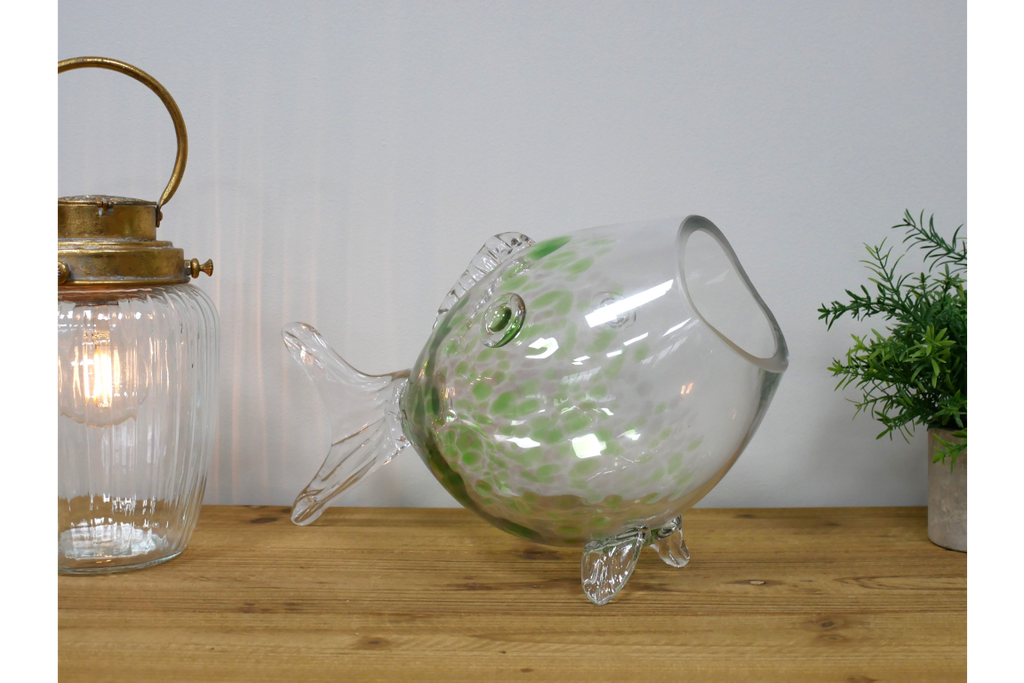 Big Mouth Glass Fish