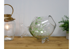 Big Mouth Glass Fish
