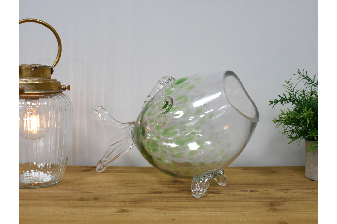 Big Mouth Glass Fish