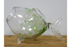 Big Mouth Glass Fish