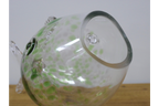 Big Mouth Glass Fish