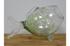 Big Mouth Glass Fish