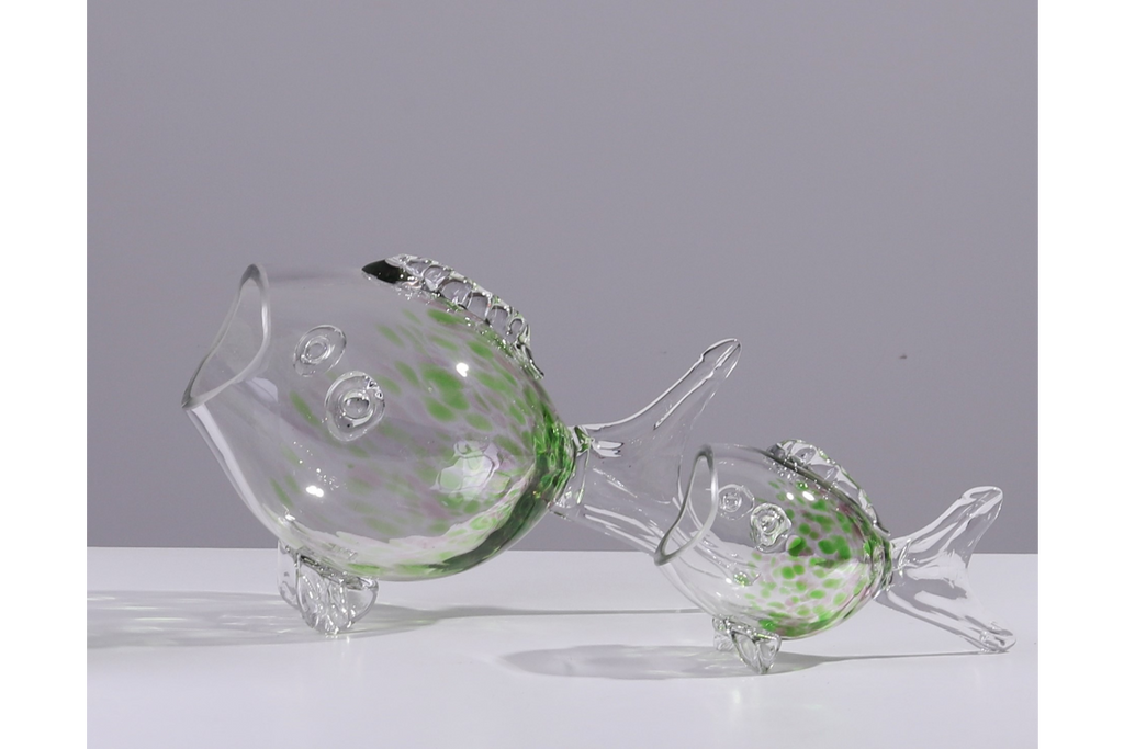 Big Mouth Glass Fish