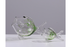 Big Mouth Glass Fish
