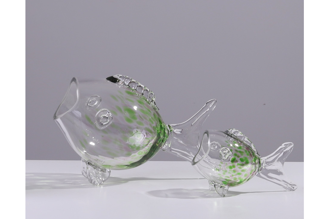 Big Mouth Glass Fish