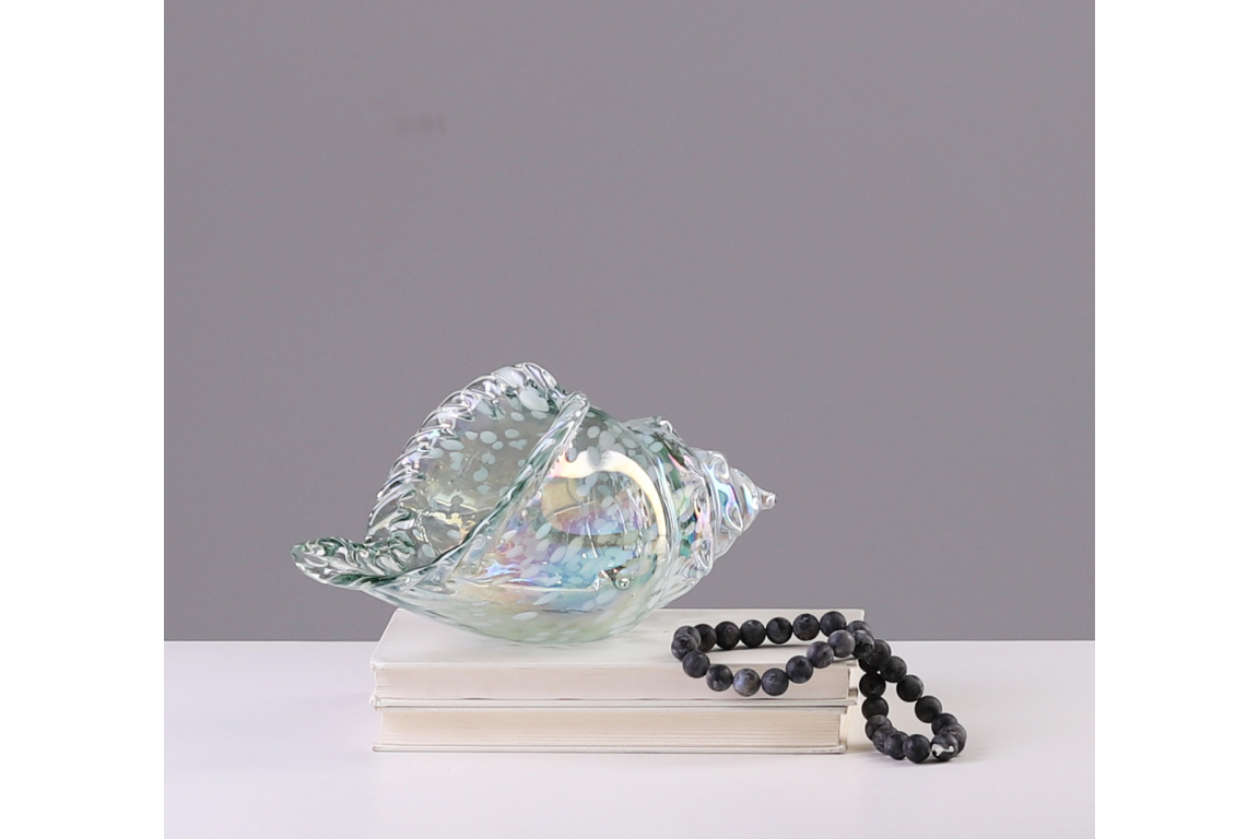 Glass Shell