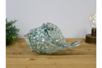 Glass Shell