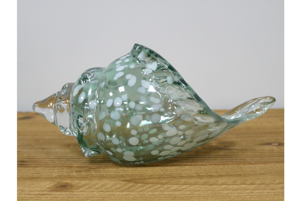 Glass Shell
