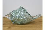 Glass Shell