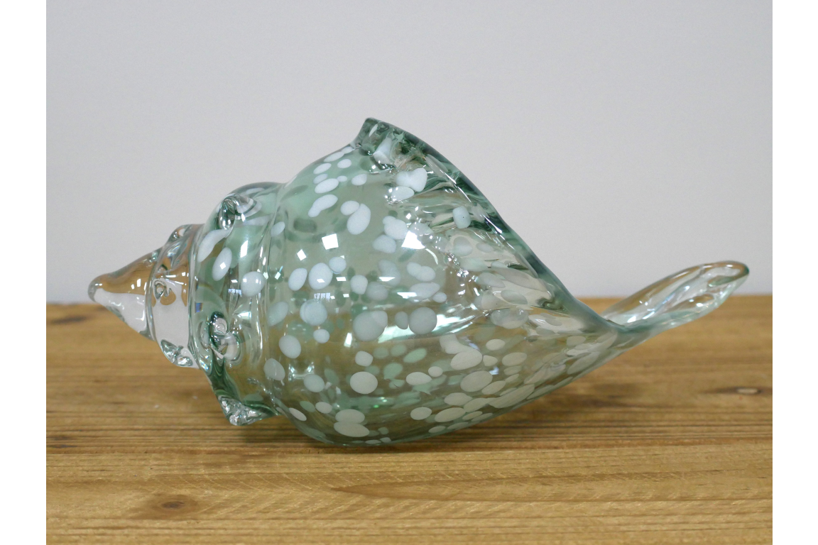 Glass Shell