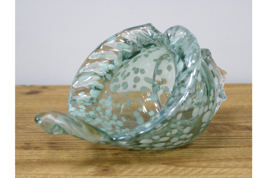 Glass Shell