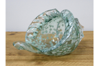 Glass Shell